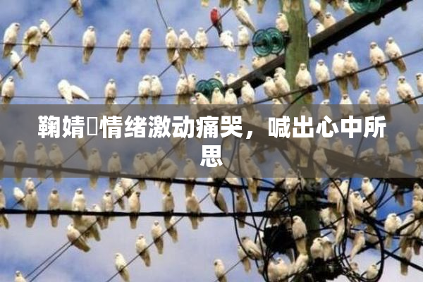鞠婧祎情绪激动痛哭，喊出心中所思