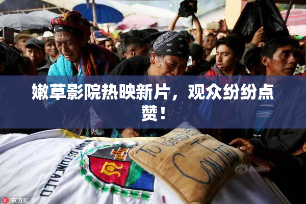 嫩草影院热映新片，观众纷纷点赞！