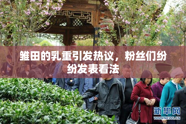 雏田的乳重引发热议，粉丝们纷纷发表看法