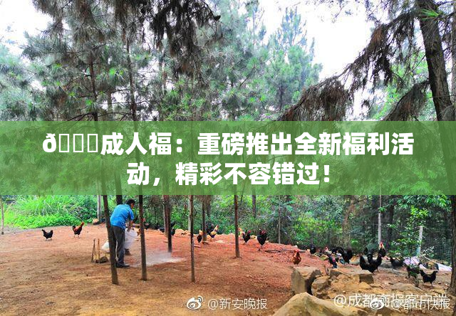 🔞成人福：重磅推出全新福利活动，精彩不容错过！