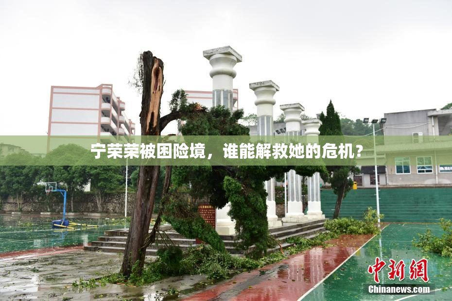 宁荣荣被困险境，谁能解救她的危机？