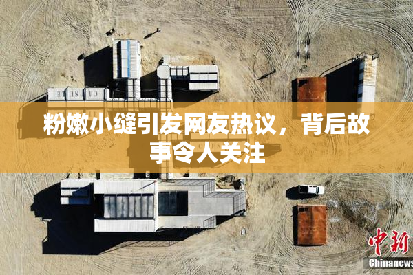 粉嫩小缝引发网友热议，背后故事令人关注