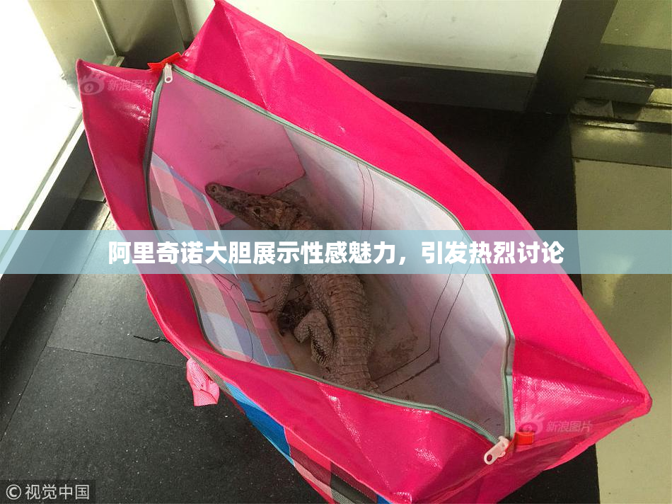 阿里奇诺大胆展示性感魅力，引发热烈讨论