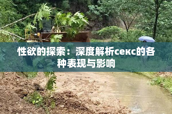 性欲的探索：深度解析секс的各种表现与影响