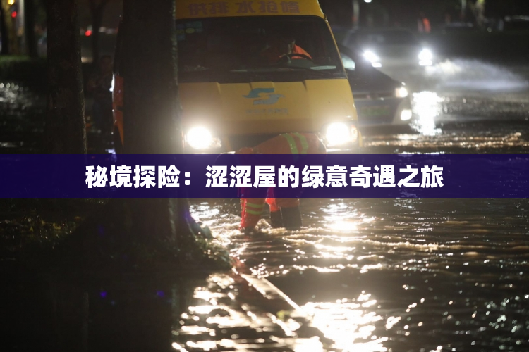 秘境探险：涩涩屋的绿意奇遇之旅