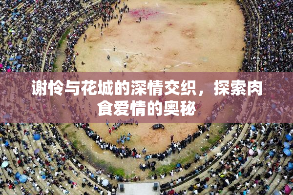 谢怜与花城的深情交织，探索肉食爱情的奥秘