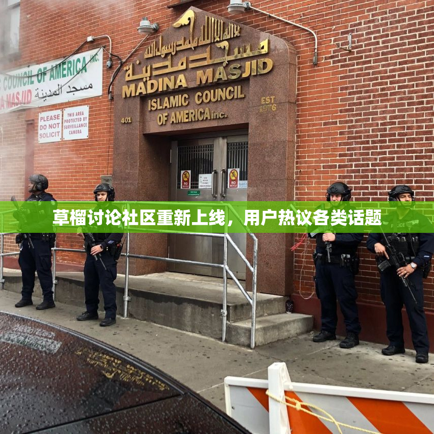 草榴讨论社区重新上线，用户热议各类话题