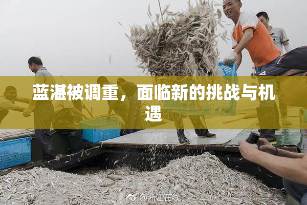 蓝湛被调重，面临新的挑战与机遇