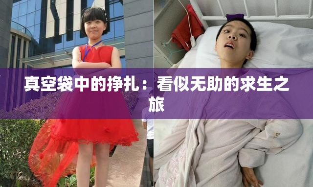 真空袋中的挣扎：看似无助的求生之旅
