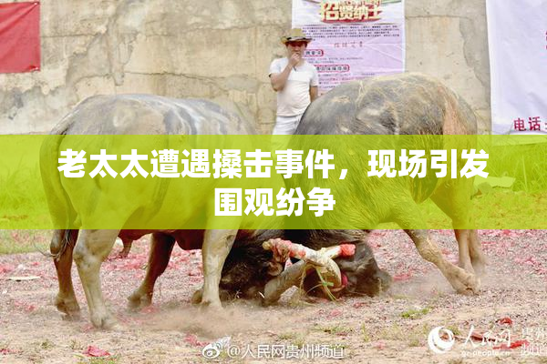 老太太遭遇搡击事件，现场引发围观纷争