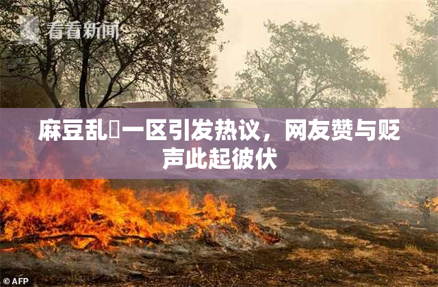 麻豆乱婬一区引发热议，网友赞与贬声此起彼伏