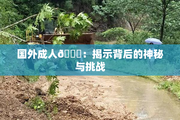 国外成人🔞：揭示背后的神秘与挑战