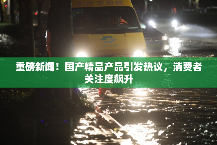 重磅新闻！国产精品产品引发热议，消费者关注度飙升