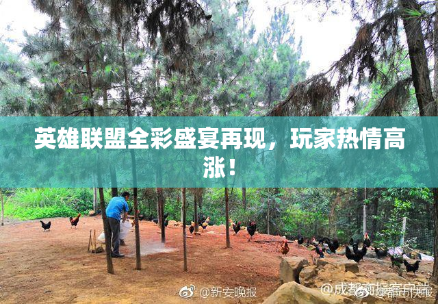英雄联盟全彩盛宴再现，玩家热情高涨！
