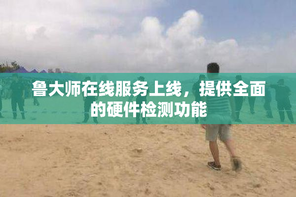 鲁大师在线服务上线，提供全面的硬件检测功能