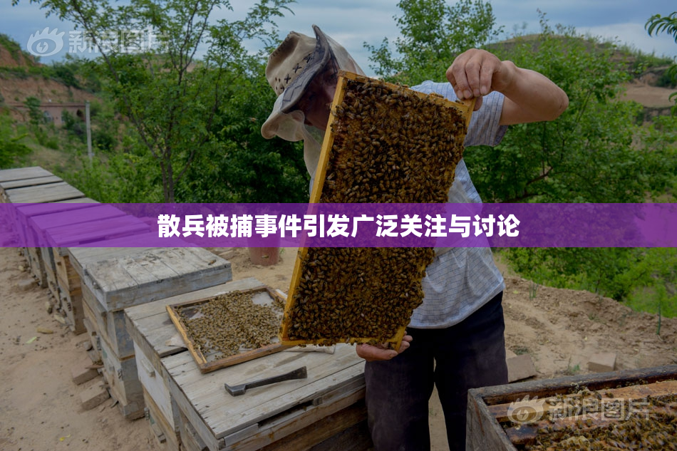 散兵被捕事件引发广泛关注与讨论