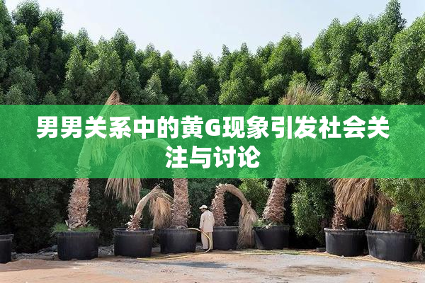 男男关系中的黄G现象引发社会关注与讨论