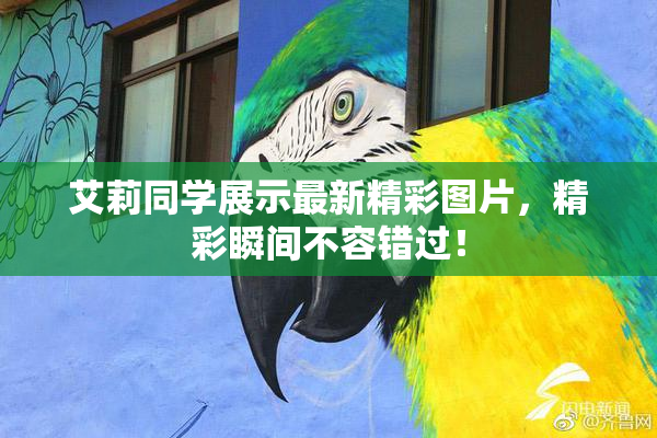 艾莉同学展示最新精彩图片，精彩瞬间不容错过！