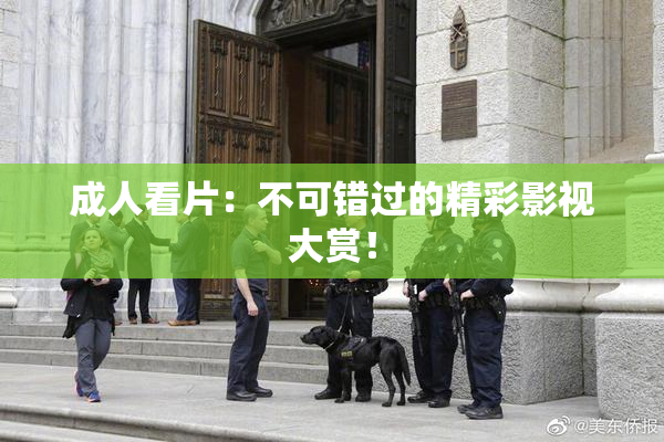 成人看片：不可错过的精彩影视大赏！