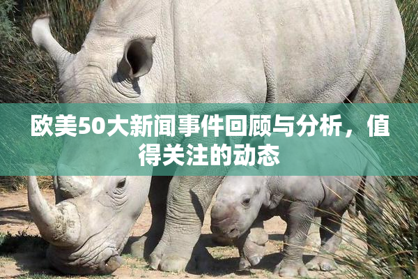 欧美50大新闻事件回顾与分析，值得关注的动态