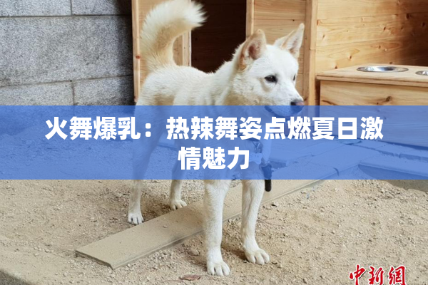 火舞爆乳：热辣舞姿点燃夏日激情魅力