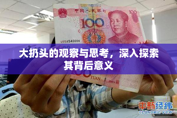 大扔头的观察与思考，深入探索其背后意义