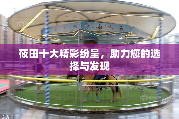 莜田十大精彩纷呈，助力您的选择与发现