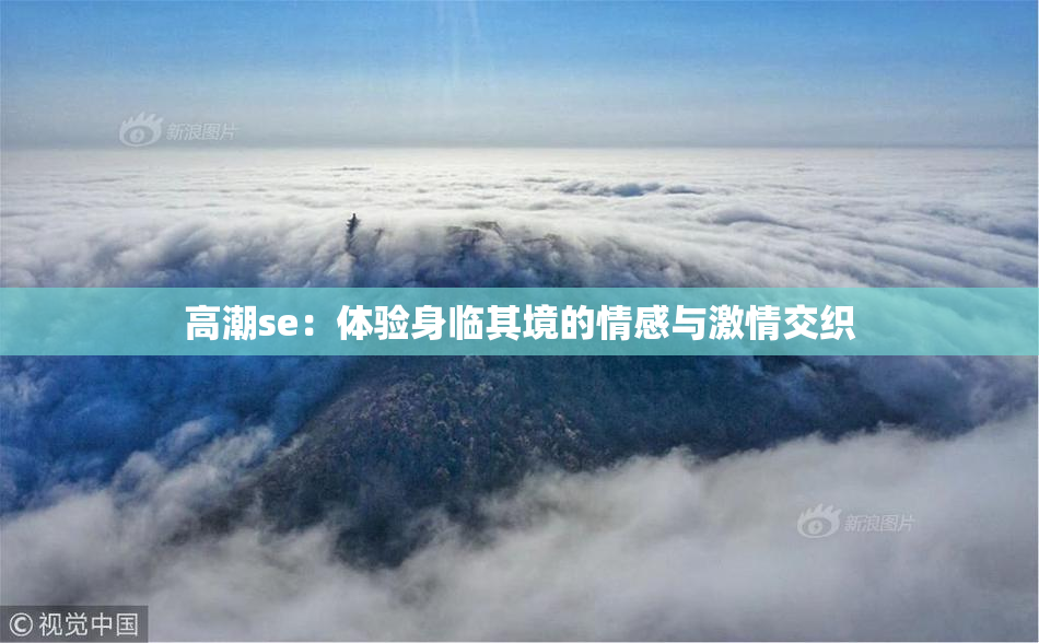 高潮se：体验身临其境的情感与激情交织