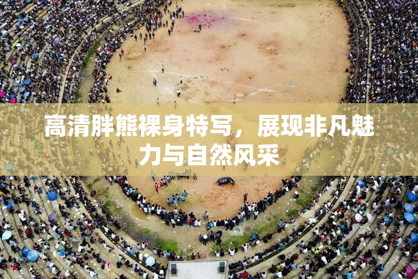 高清胖熊裸身特写，展现非凡魅力与自然风采
