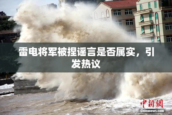 雷电将军被捏谣言是否属实，引发热议