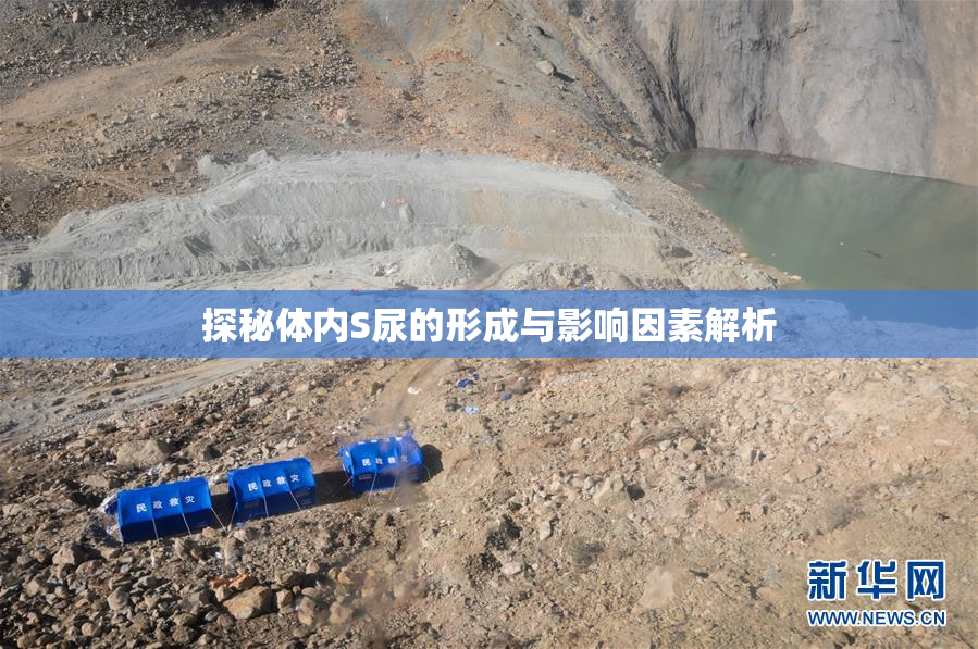 探秘体内S尿的形成与影响因素解析