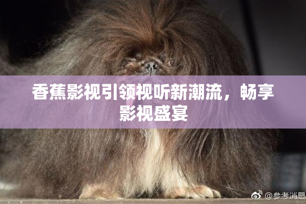 香蕉影视引领视听新潮流，畅享影视盛宴