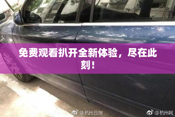 免费观看扒开全新体验，尽在此刻！