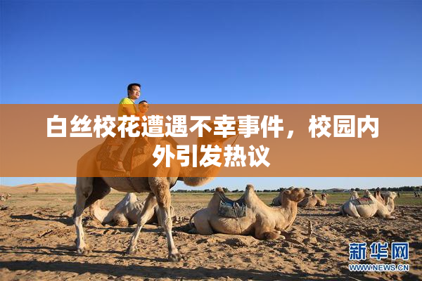 白丝校花遭遇不幸事件，校园内外引发热议