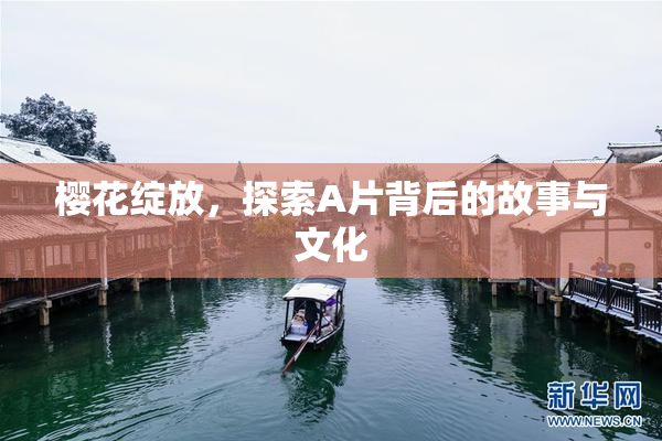 樱花绽放，探索A片背后的故事与文化
