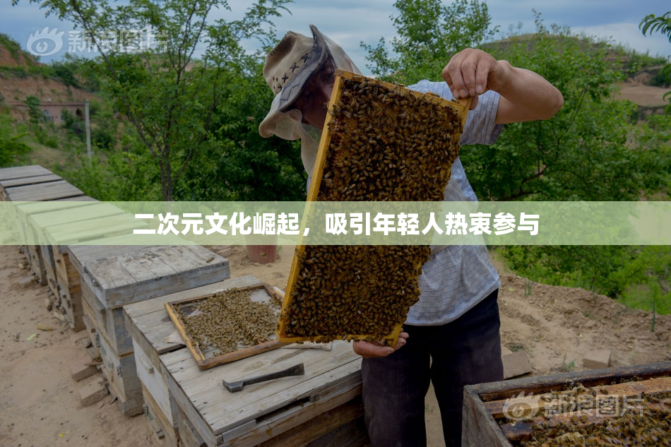 二次元文化崛起，吸引年轻人热衷参与