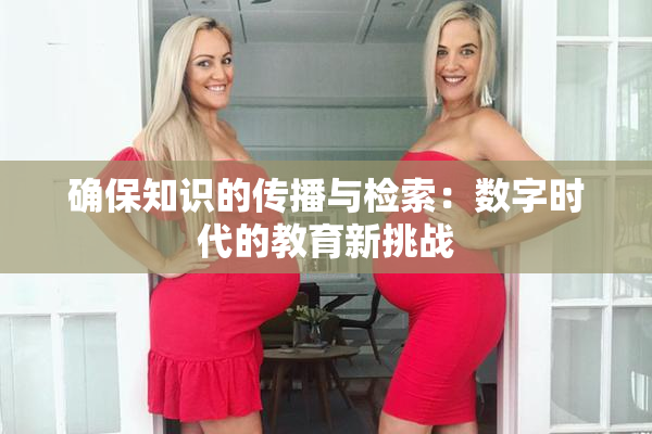 确保知识的传播与检索：数字时代的教育新挑战