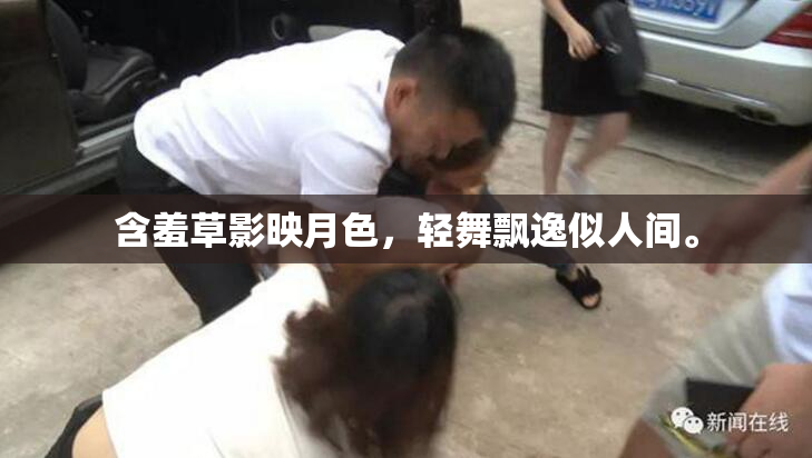 含羞草影映月色，轻舞飘逸似人间。