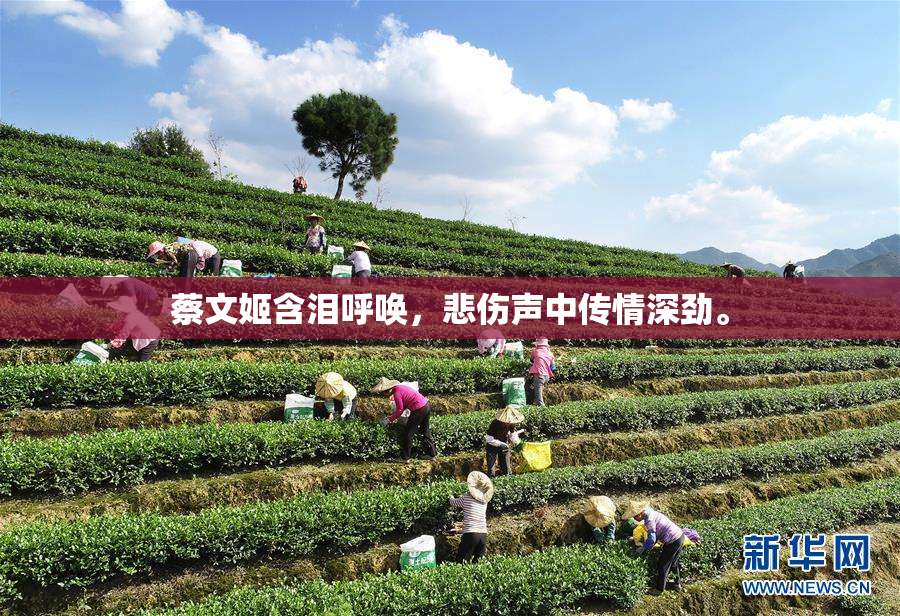 蔡文姬含泪呼唤，悲伤声中传情深劲。