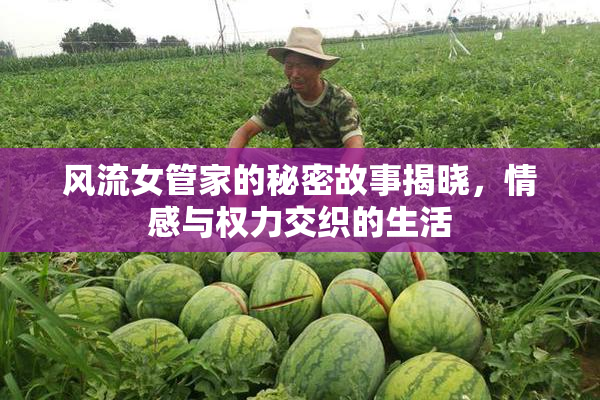 风流女管家的秘密故事揭晓，情感与权力交织的生活