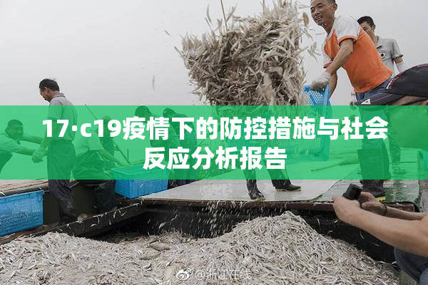 17·c19疫情下的防控措施与社会反应分析报告