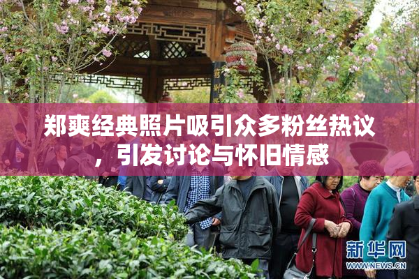 郑爽经典照片吸引众多粉丝热议，引发讨论与怀旧情感