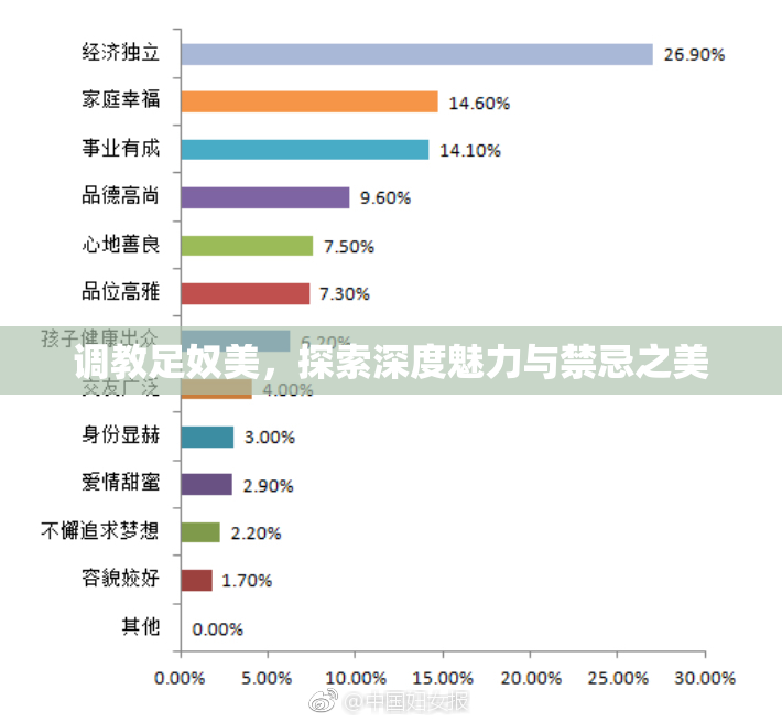 调教足奴美，探索深度魅力与禁忌之美