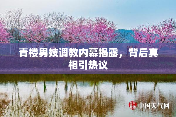青楼男妓调教内幕揭露，背后真相引热议