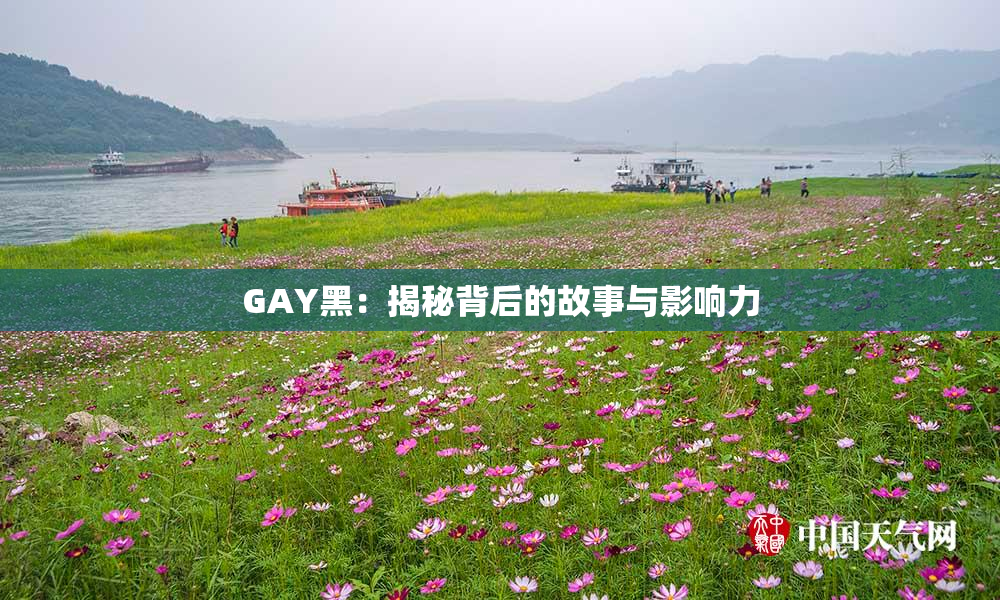 GAY黑：揭秘背后的故事与影响力