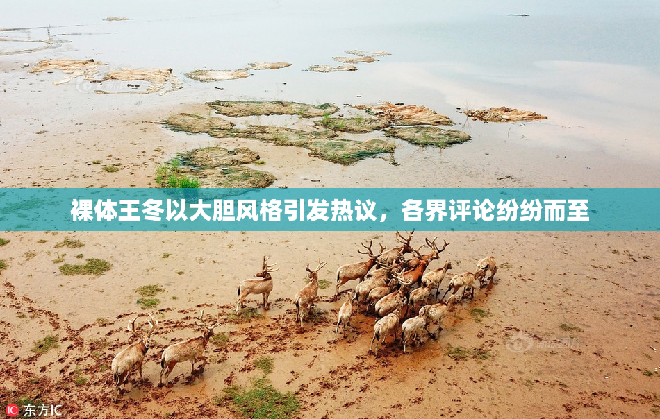 裸体王冬以大胆风格引发热议，各界评论纷纷而至