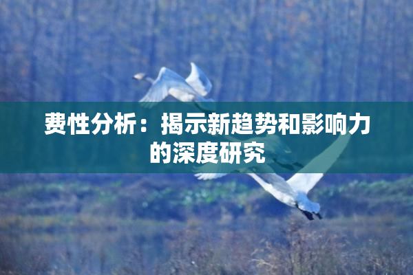 费性分析：揭示新趋势和影响力的深度研究