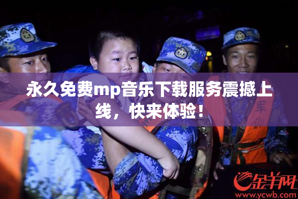 永久免费mp音乐下载服务震撼上线，快来体验！