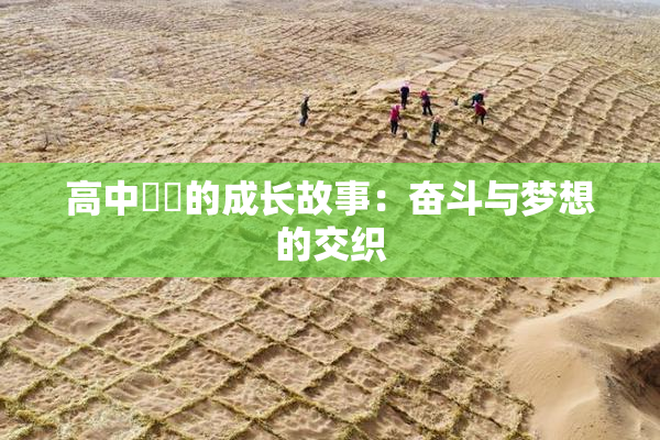 高中妺妺的成长故事：奋斗与梦想的交织