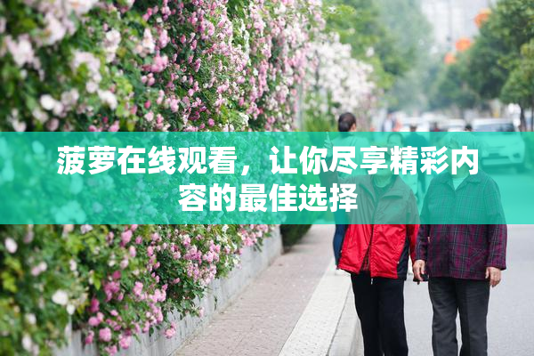 菠萝在线观看，让你尽享精彩内容的最佳选择